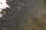 Turners_Falls_017b
