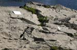 Turners_Falls_022b