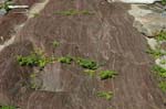 Turners_Falls_025b