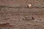 Turners_Falls_029b