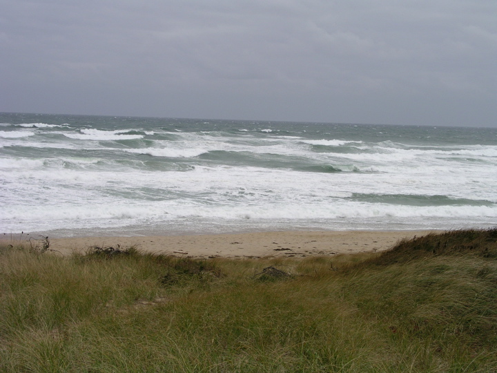 P1010014.JPG
