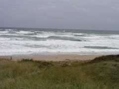 P1010014.JPG