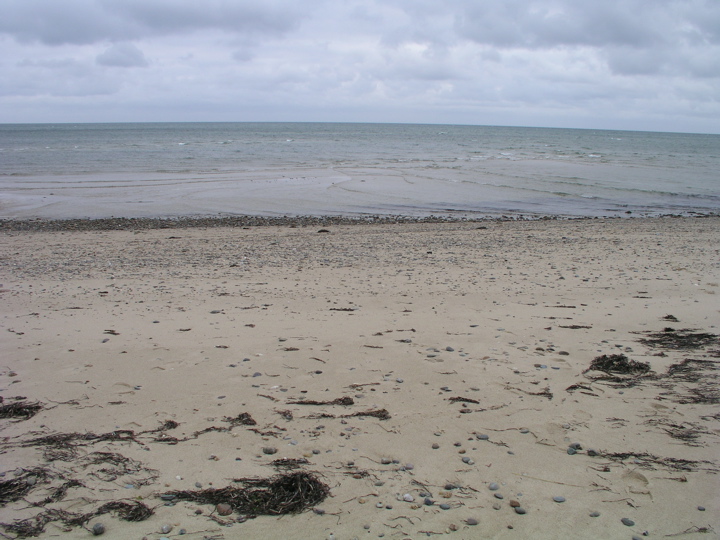 P1010058.JPG
