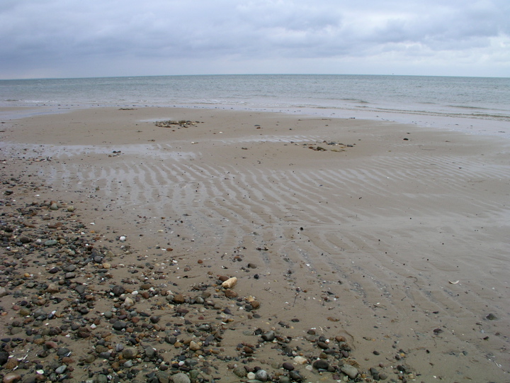 P1010059.JPG