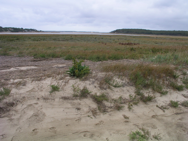 P1010053.JPG