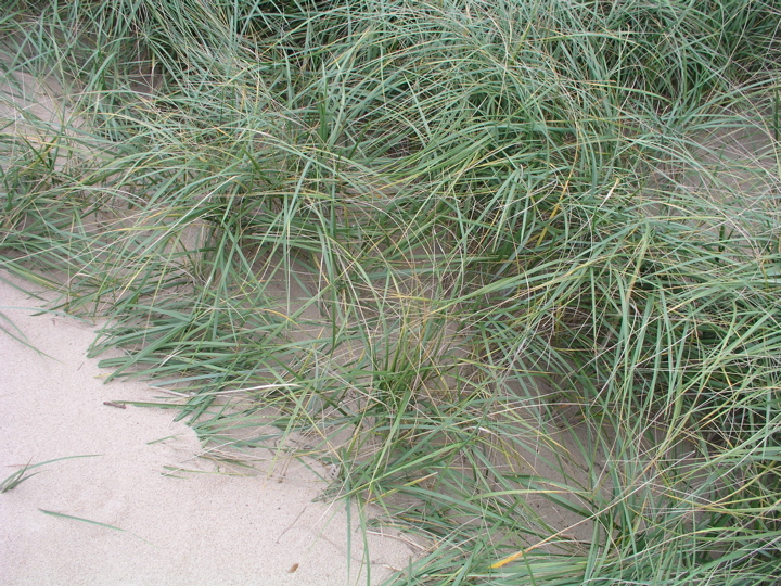 P1010055.JPG