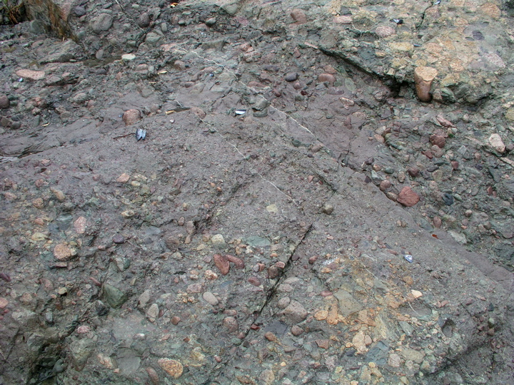P1010091.JPG