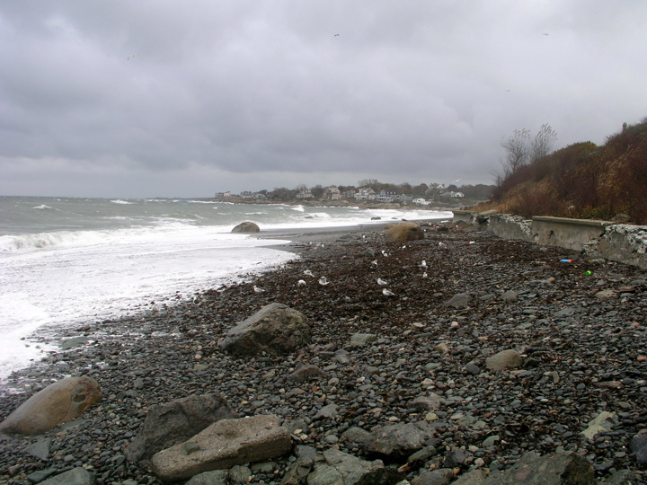 P1010093.JPG