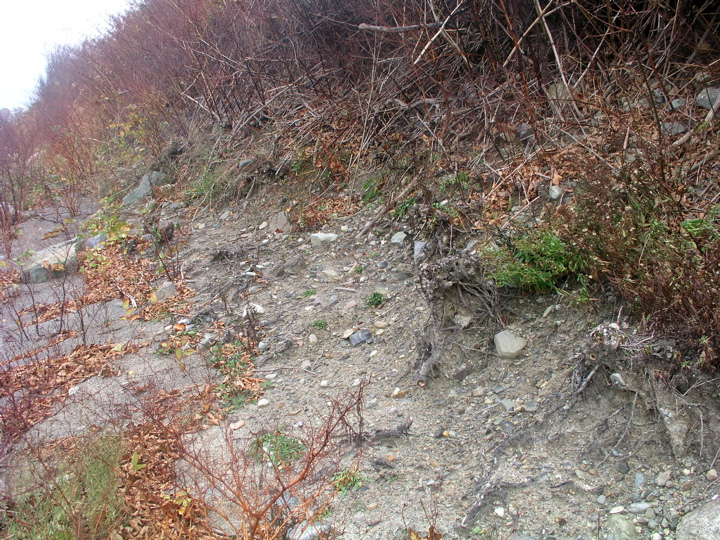 P1010096.JPG