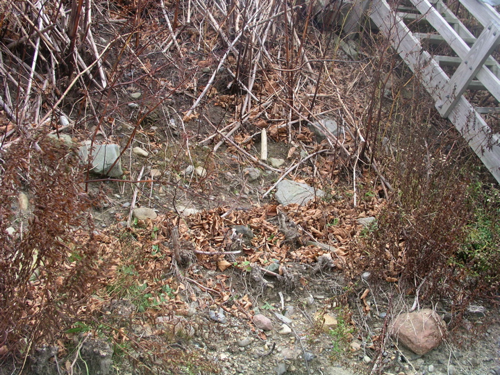P1010097.JPG