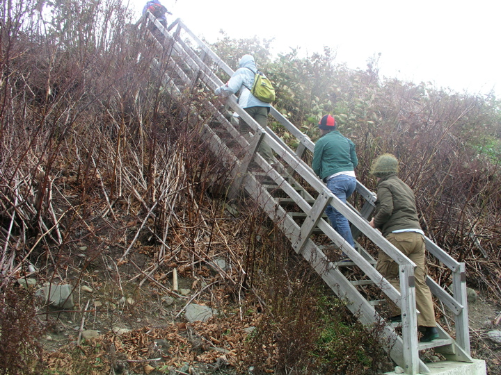 P1010098.JPG