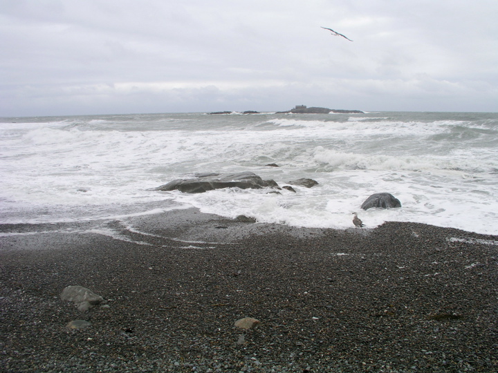 P1010099.JPG