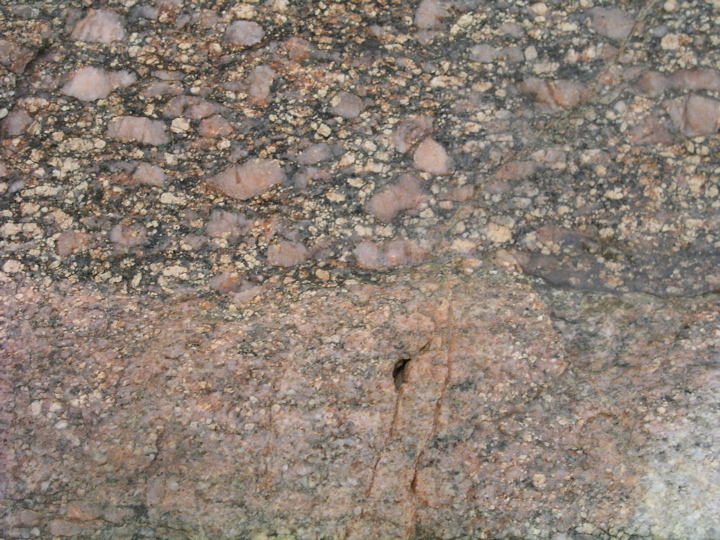 P1010104.JPG
