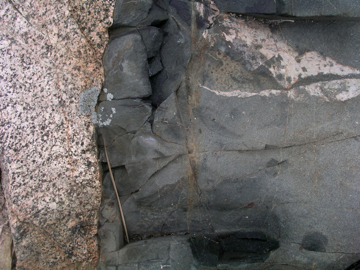 P1010106.JPG