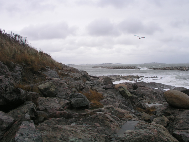 P1010086.JPG
