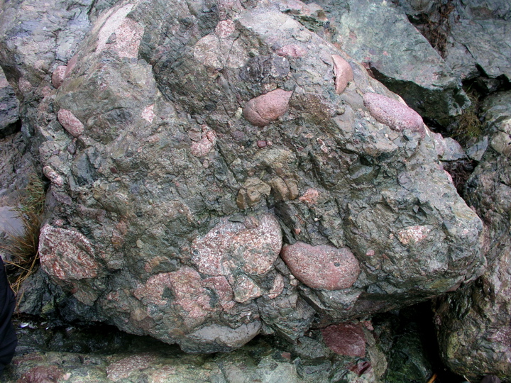 P1010087.JPG