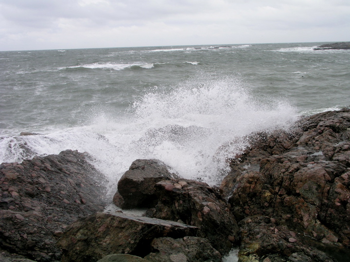 P1010089.JPG