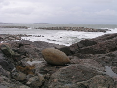 P1010090.JPG