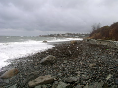 P1010093.JPG