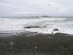 P1010099.JPG