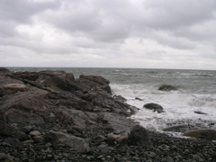 P1010082.JPG