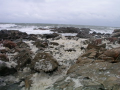 P1010102.JPG