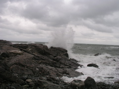 P1010083.JPG