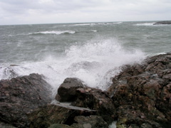 P1010089.JPG