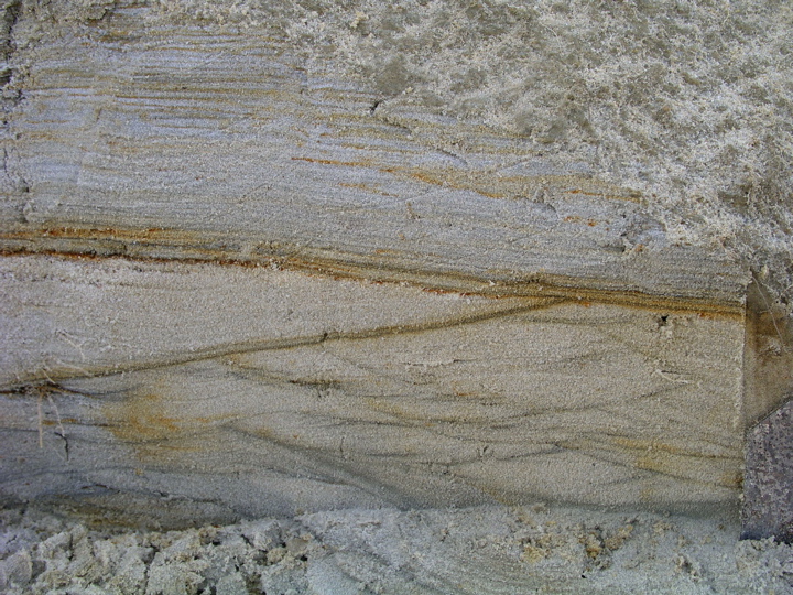 P1010036.JPG
