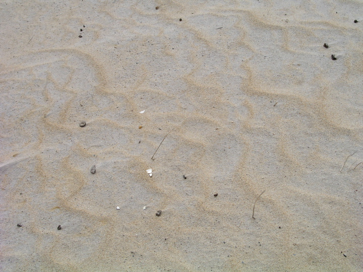 P1010021.JPG