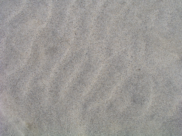 P1010025.JPG