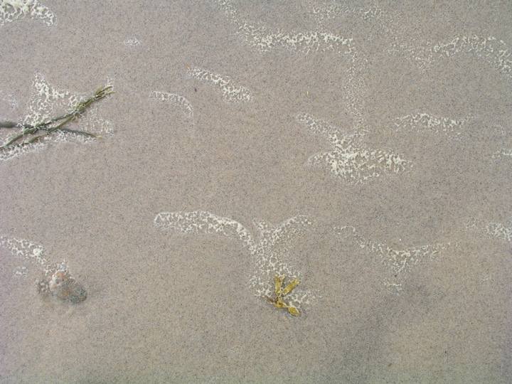 P1010028.JPG