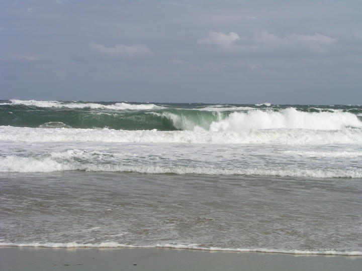 P1010029.JPG