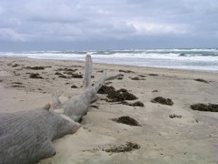 P1010024.JPG