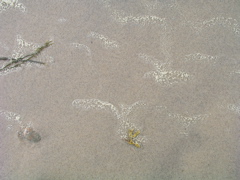 P1010028.JPG