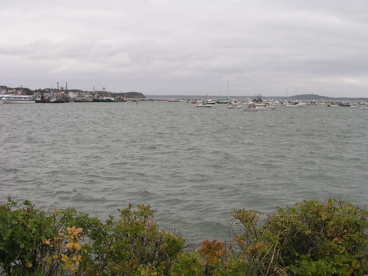 P1010071.JPG