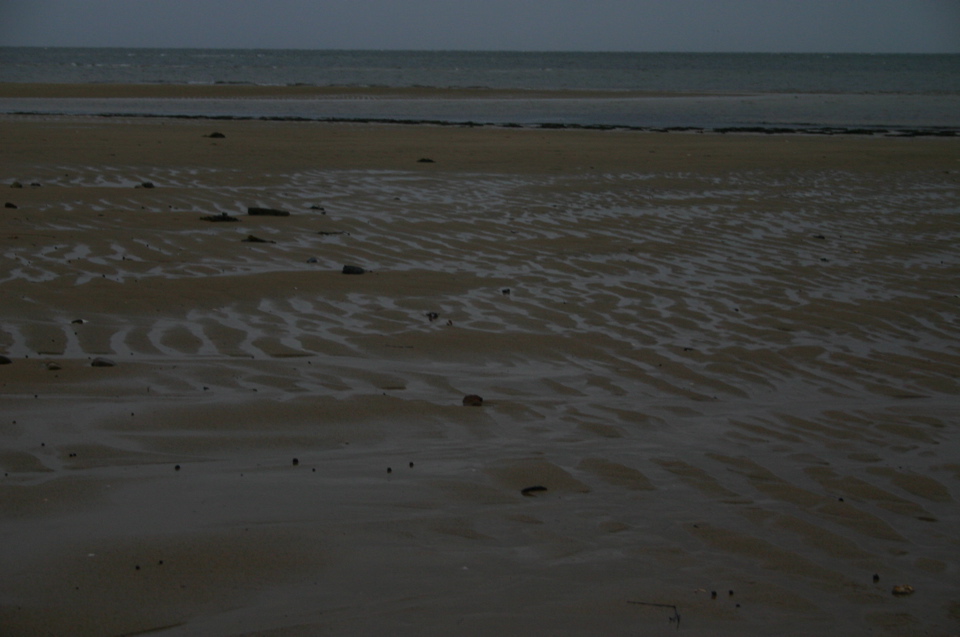 IMG_7516.JPG