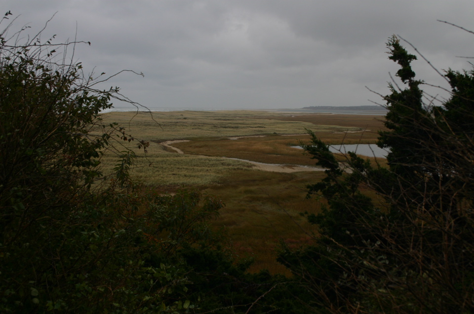 IMG_7434.JPG