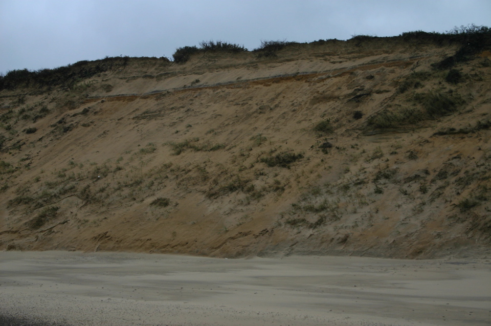 IMG_7462.JPG
