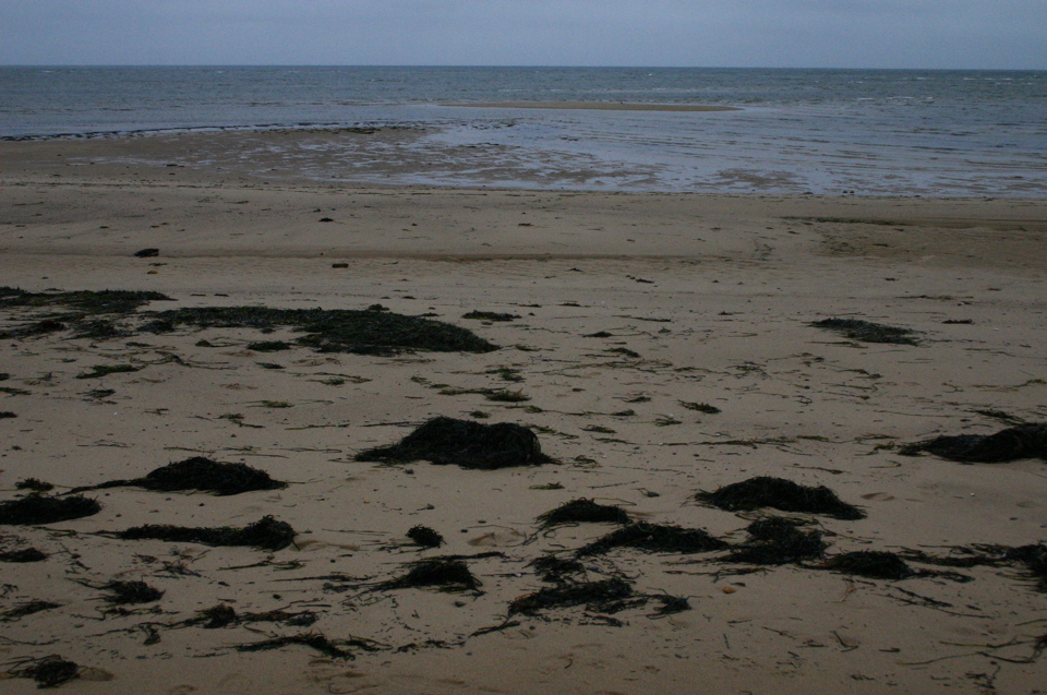 IMG_7510.JPG
