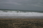 IMG_7461.JPG