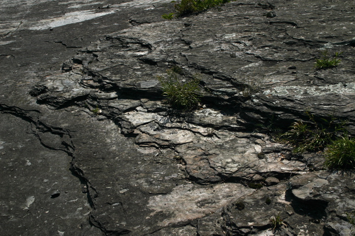 IMG_6781.JPG