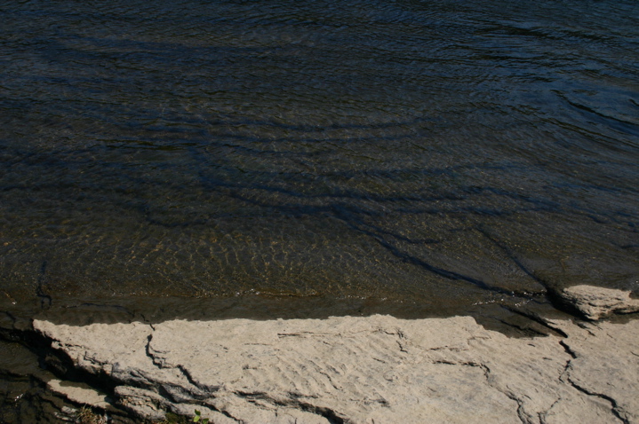 IMG_6773.JPG