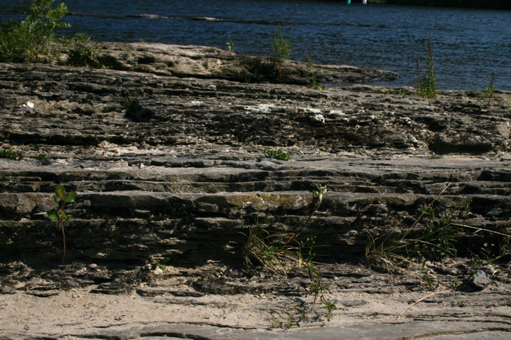 IMG_6792.JPG