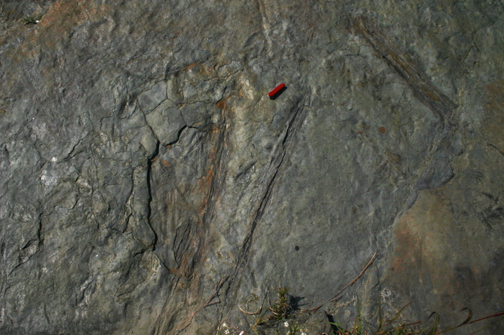 IMG_6775.JPG
