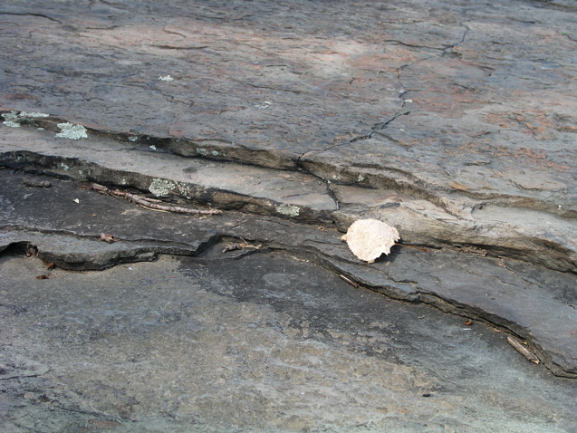 P1010007.JPG