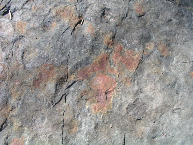 P1010013.JPG