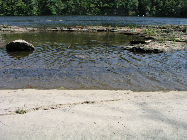 P1010014.JPG