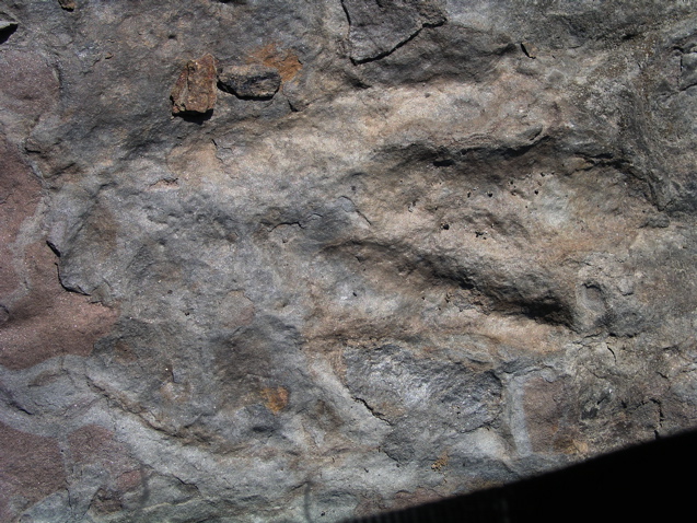 P1010015.JPG