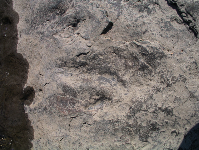 P1010017.JPG